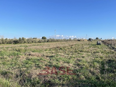 Foto Terreno agricolo in Via Aurelia Sud, Cecina Cecina Centro di 17000 m²