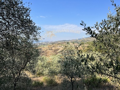 Foto Terreno agricolo in Strada Collette Beulle snc, Sanremo Bussana