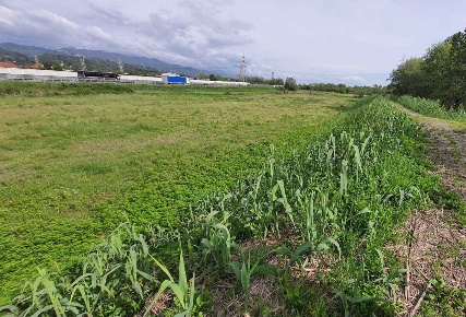 Foto Terreno agricolo a Santo Stefano di Magra di 8000 m² in vendita