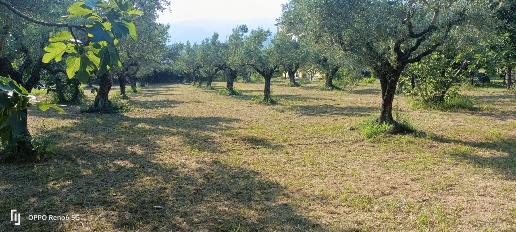 Foto Terreno edificabile in Via degli Enotri, Lamezia Terme di 1900 m²