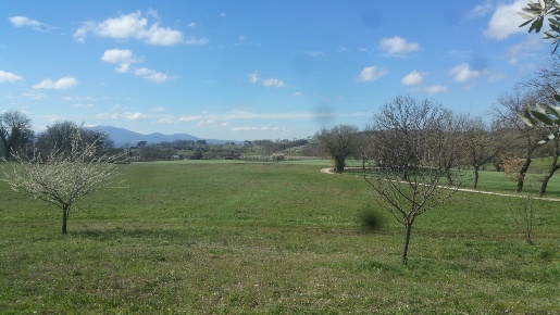 Foto Terreno agricolo in Via San Francesco, Lugnano in Teverina di 24000 m²