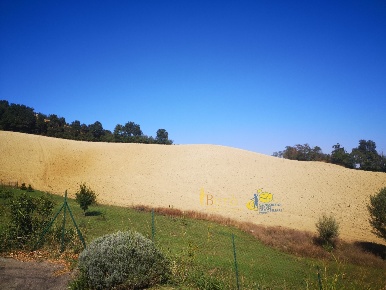 Foto Terreno agricolo in Strada delle Vigne 3, Sala Baganza in vendita