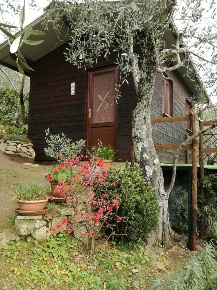 Foto Terreno agricolo a Camaiore in vendita