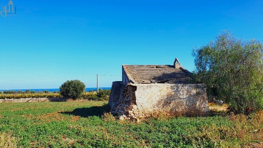 Foto Terreno agricolo a Polignano a Mare di 12060 m² in vendita