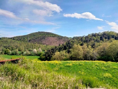 Foto Terreno agricolo a Amelia Centro di 34800 m² in vendita
