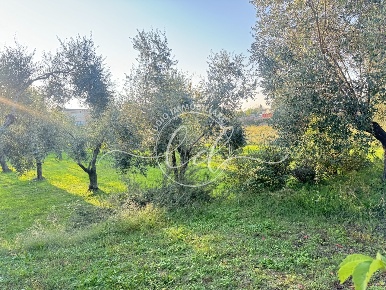 Foto Terreno edificabile a Pietrasanta di 600 m² in vendita