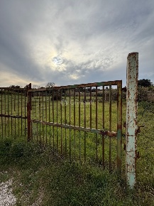 Foto Terreno edificabile in VIA CENTOCELLE 1, Anzio Falasche - Armellino
