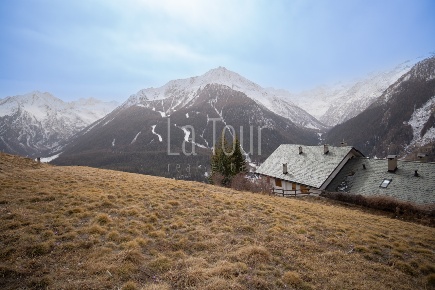 Foto Terreno agricolo in Frazione Gimillan, Cogne di 1751 m² in vendita