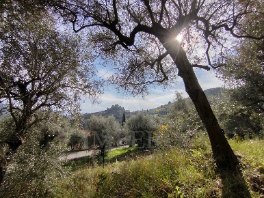 Foto Terreno agricolo in Via delle Otto Case, Ventimiglia di 1500 m²