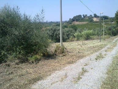 Foto Terreno agricolo a Siracusa Villaggio Miano di 6813 m² in vendita