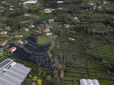 Foto Terreno agricolo in SP59 39, Vallecrosia di 10650 m² in vendita