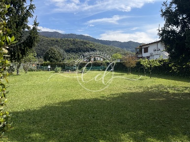 Foto Terreno agricolo a Pietrasanta Caranna di 1250 m² in vendita