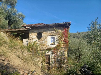Foto Terreno agricolo a Dolceacqua di 7639 m² in vendita