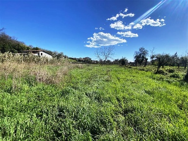 Foto Terreno edificabile in Via Dogana 82, Luni Casano Dogana Isola