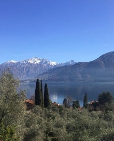 Foto Terreno industriale a Tremezzina di 16000 m² in vendita
