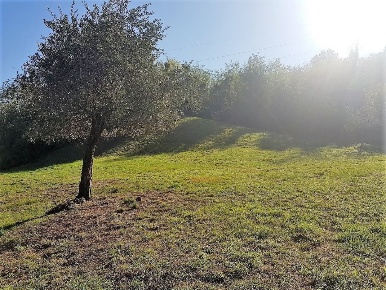 Foto Terreno agricolo in Via di Poggio Seconda, Lucca Nozzano - Arliano