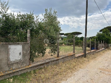Foto Terreno edificabile in Via Sutri 4, Nettuno di 1580 m² in vendita