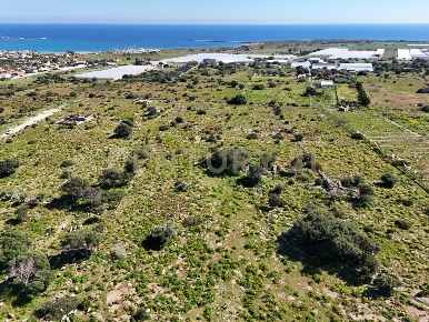 Foto Terreno agricolo in CONTRADA CORRIDORE DELLA CAMPANA SNC, di 8984 m²