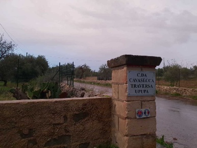Foto Terreno agricolo a Siracusa di 7500 m² in vendita