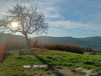 Foto Terreno agricolo a Amelia Centro in vendita