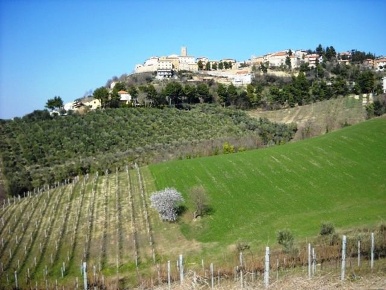 Foto Terreno edificabile in via dei piceni, Castorano Centro di 1400 m²