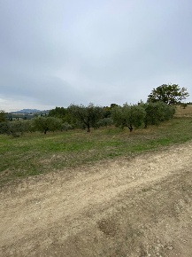 Foto Terreno agricolo in Strada di Vagli, Lugnano in Teverina di 8200 m²