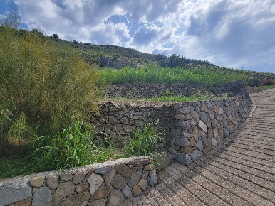 Foto Terreno agricolo in Via Anacleto Hughes 22/A, Ventimiglia Latte, Ville