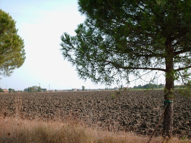 Foto Terreno agricolo in Via Emilia, Rimini Santa Giustina - San Vito