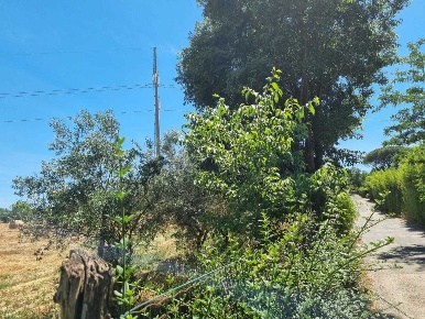 Foto Terreno agricolo in Via della Tenuta di San Cesareo 41, Roma