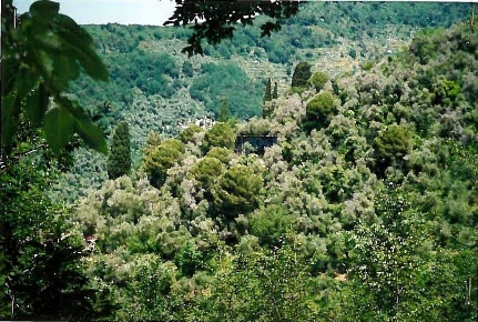 Foto Terreno edificabile in Via Carcassoni 18, Rapallo di 1940 m²