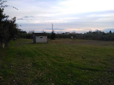 Foto Terreno agricolo a Massarosa in vendita