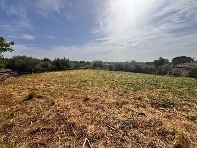 Foto Terreno agricolo in Strada Carcarazza sn, Misterbianco di 3300 m²