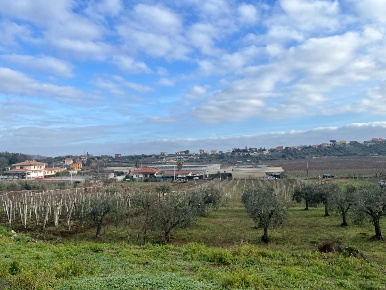 Foto Terreno agricolo in Via Valle di Pantano Secco 10, Frascati di 4870 m²