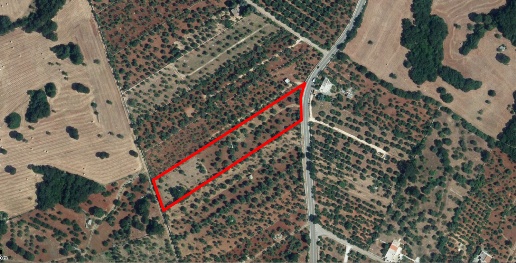 Foto Terreno agricolo in Contrada Romanelli, Monopoli di 8300 m² in vendita