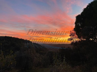 Foto Terreno agricolo in Via Roma 16, Riparbella di 20 m² in vendita