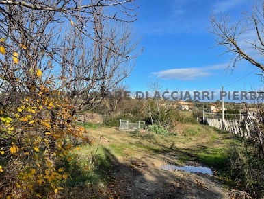 Foto Terreno agricolo in VIA SANTI, Massignano Centro di 2606 m² in vendita