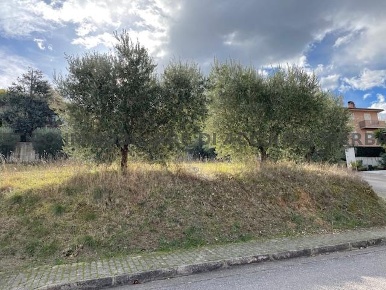 Foto Terreno edificabile in VIA ABRUZZI, Cupra Marittima di 787 m²