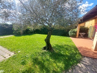 Foto Appartamento a Sarzana in vendita
