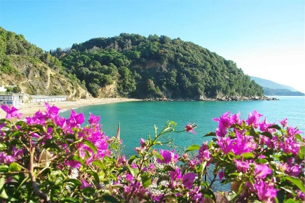 Foto Appartamento a Lerici in vendita