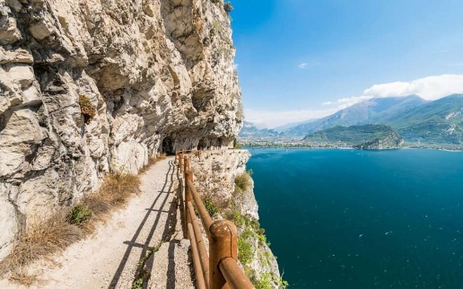 immagine annuncio 3 di 8