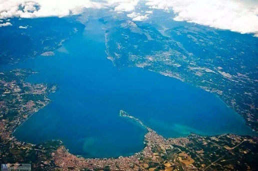 immagine annuncio 4 di 8