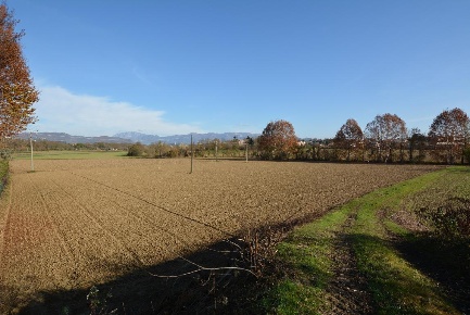 Foto Terreno agricolo in Via Copernico, Osnago di 3770 m² in vendita