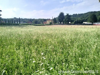 Foto Terreno edificabile in Via Prinetti, Brivio Centro di 1550 m²