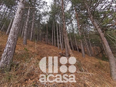 Foto Terreno agricolo a Bagno di Romagna di 4770 m² in vendita