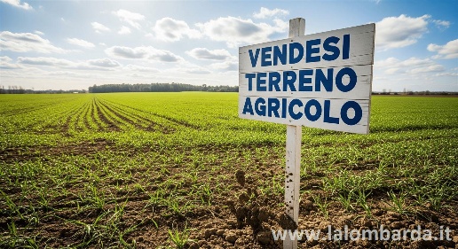 Foto Terreno agricolo in Via Sant' Agostino, Mariano Comense di 26450 m²