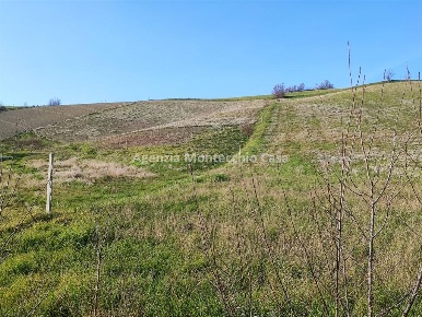 Foto Terreno agricolo in Via Provinciale, Montelabbate di 53322 m²