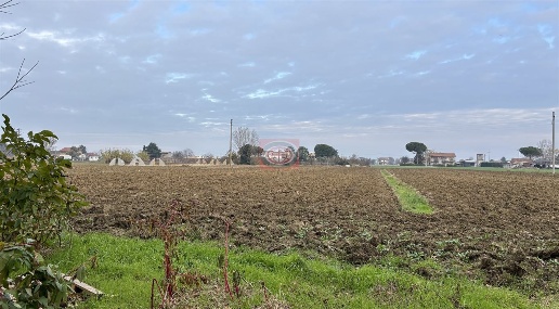 Foto Terreno agricolo a Cesena Gattolino - Capannaguzzo di 40000 m²