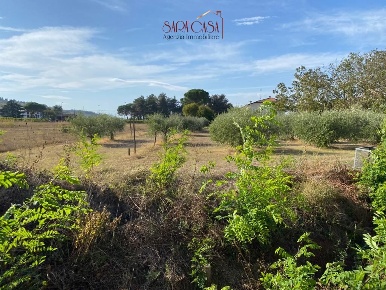 Foto Terreno edificabile in via Banicelli, Brisighella di 4600 m²