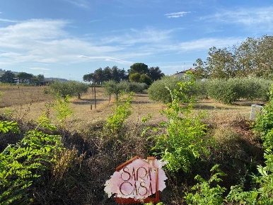 Foto Terreno edificabile in via Banicelli, Brisighella di 4600 m²