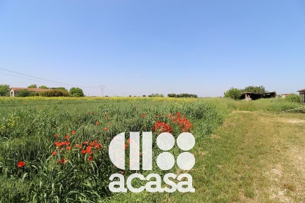 Foto Terreno agricolo in via Boscabella, Cesenatico Bagnarola, Capannaguzzo